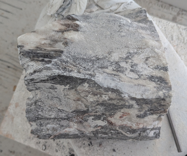 a sculpture depicting a head being held by a hand with brains oozing out of it